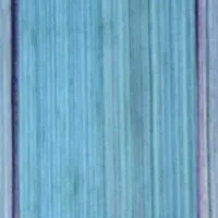 bt5