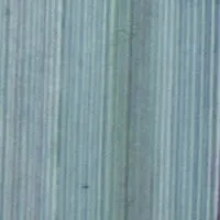 vert14