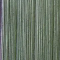 vert17