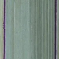 vert3