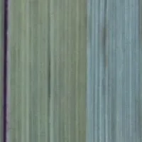 vert4