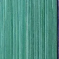 vert66