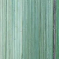 vert9
