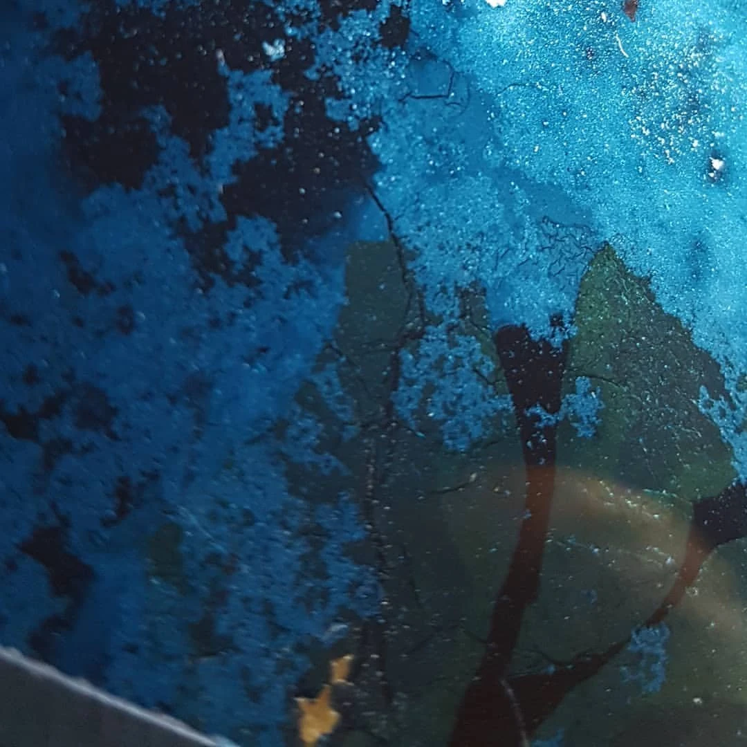 2018 06 29 07 21 32 1812218421369016972 3582523805