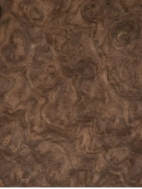 American walnut burr wood veneer sample with swirling dark brown burl figure