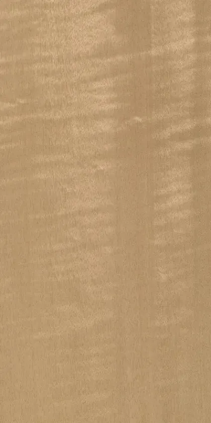 Tanganyika Frisé dyed wood veneer code 01.S.062