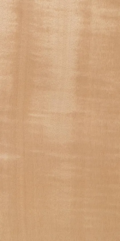 Tanganyika Frisé dyed wood veneer code 01.S.116