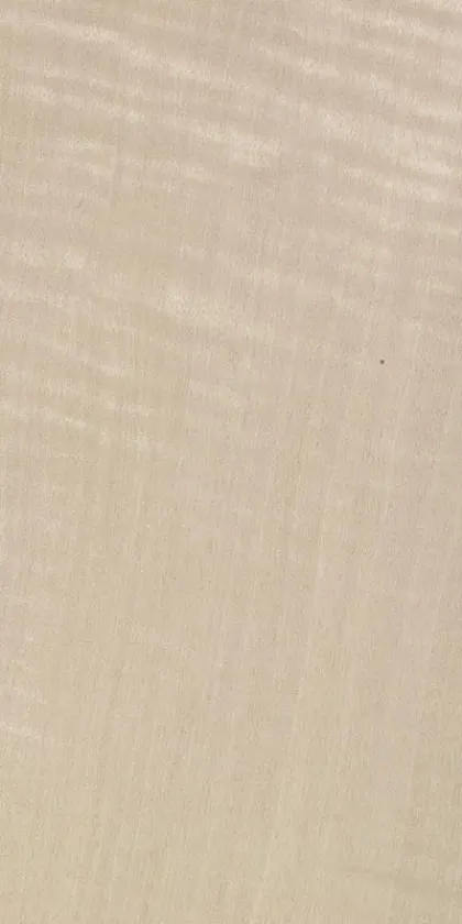 Tanganyika Frisé dyed wood veneer code 01.S.137