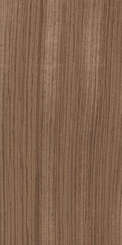 Zebrano dyed wood veneer code 03.014