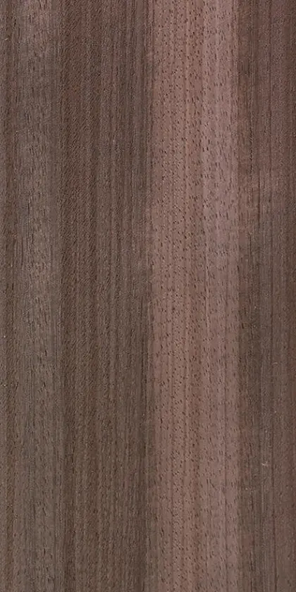 Zebrano dyed wood veneer code 03.016