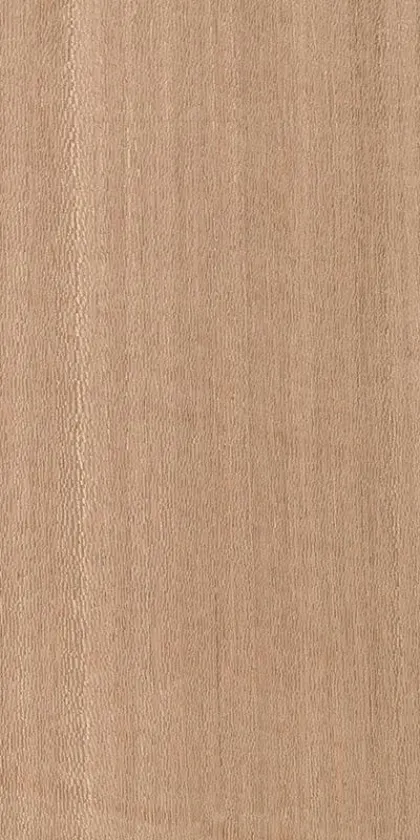 Beige dyed veneer colour folder