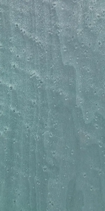 Erable dyed wood veneer code 05.043