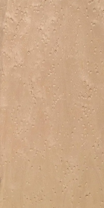 Erable dyed wood veneer code 05.047