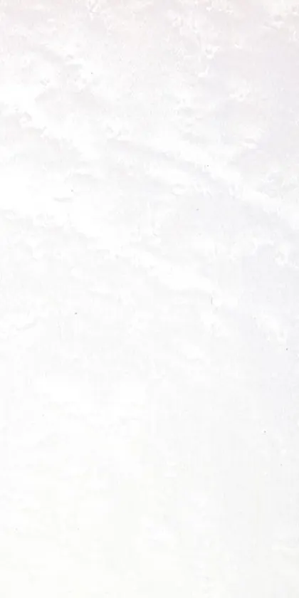 Cream White dyed veneer colour folder
