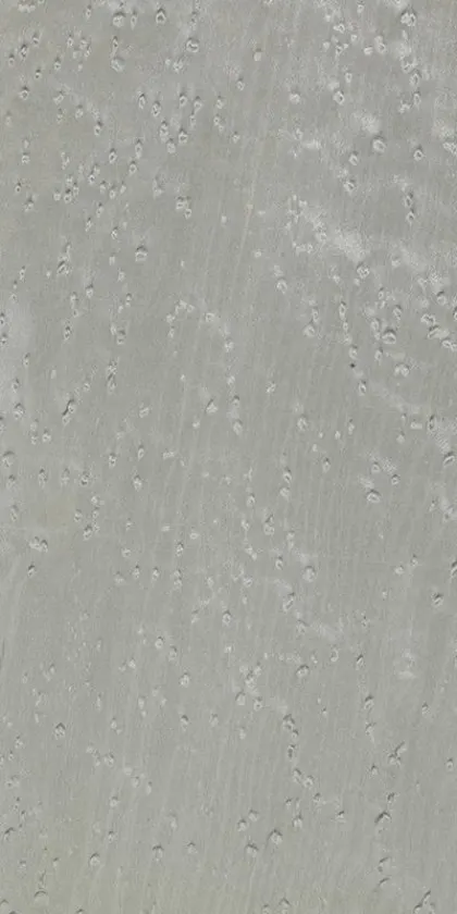 Erable dyed wood veneer code 05.055