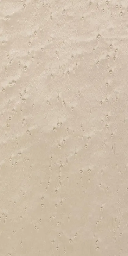 Erable dyed wood veneer code 05.062