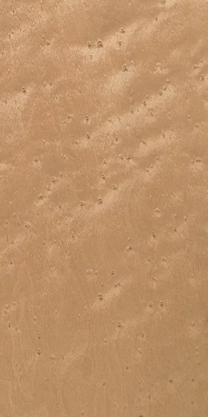 Erable dyed wood veneer code 05.069