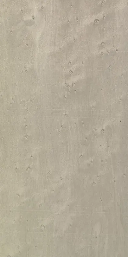 Erable dyed wood veneer code 05.076
