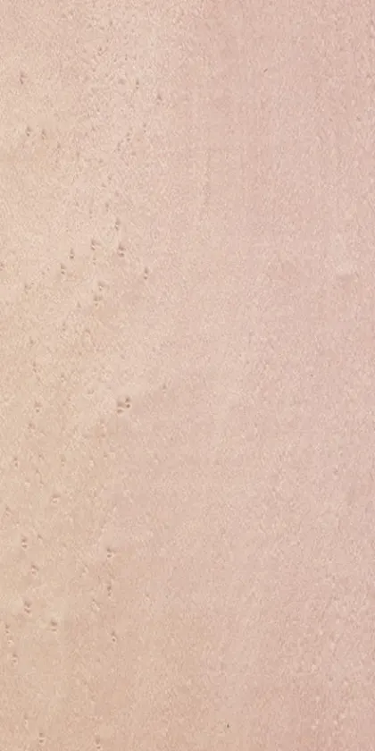 Erable dyed wood veneer code 05.081