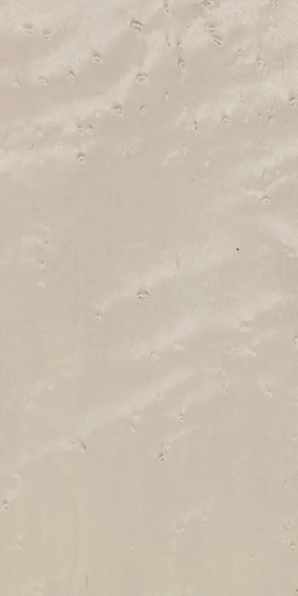 Erable dyed wood veneer code 05.088
