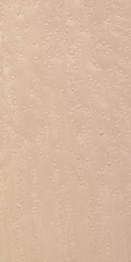 Erable dyed wood veneer code 05.089