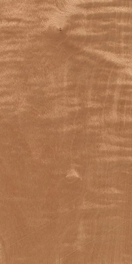 Maple Frisé dyed wood veneer code 09.S.004