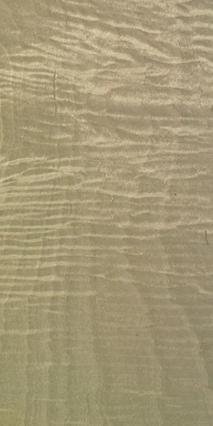 Maple Frisé dyed wood veneer code 09.S.007
