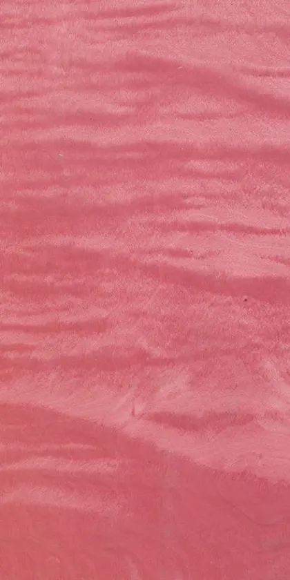 Maple Frisé dyed wood veneer code 09.S.010