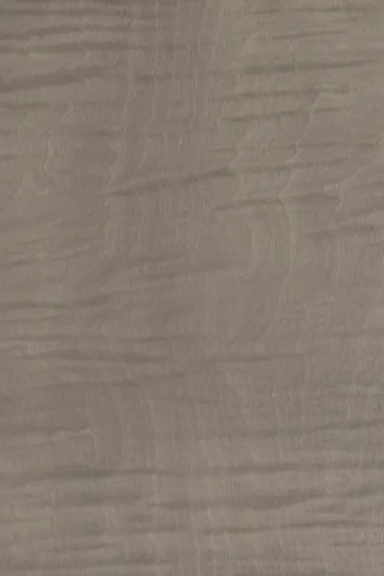 Maple Frisé dyed wood veneer code 09.S.015