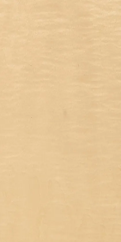 Maple Frisé dyed wood veneer code 09.S.087