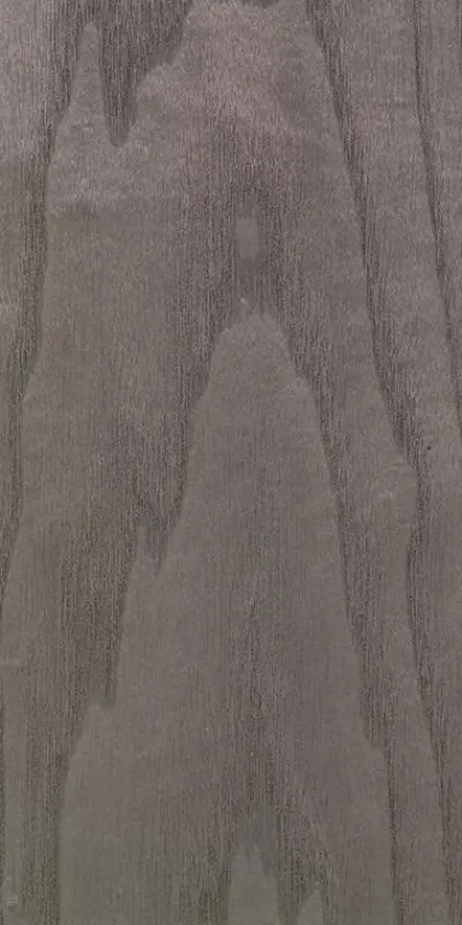 Ash dyed wood veneer code 26.005