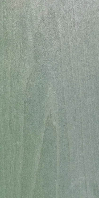 Birch tree dyed wood veneer code 27.045