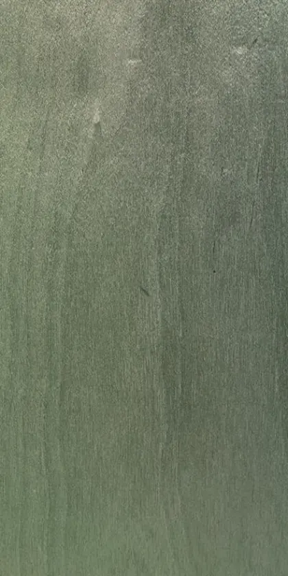 Birch tree dyed wood veneer code 27.047