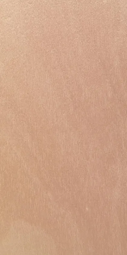 Birch tree dyed wood veneer code 27.049
