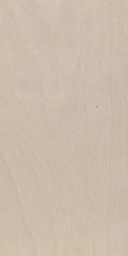 Birch tree dyed wood veneer code 27.051