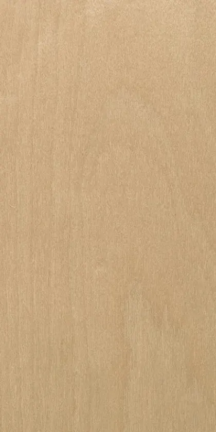 Birch tree dyed wood veneer code 27.056
