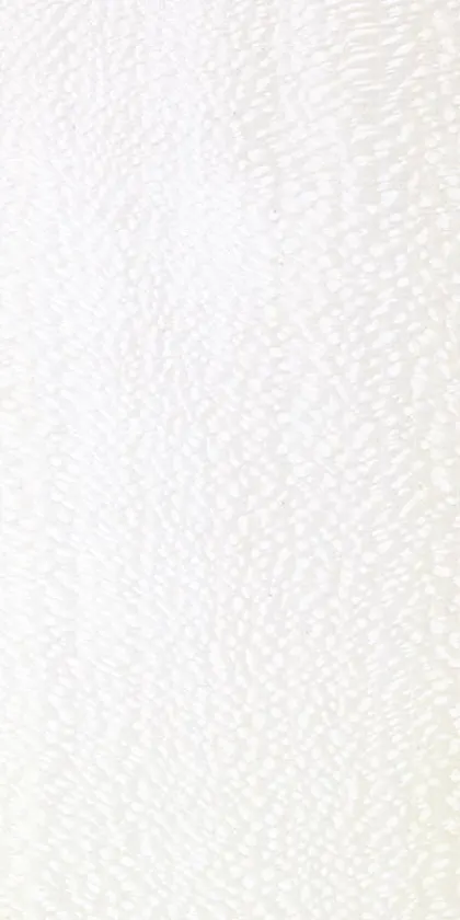 Plane Magliè dyed wood veneer code 33.N.010