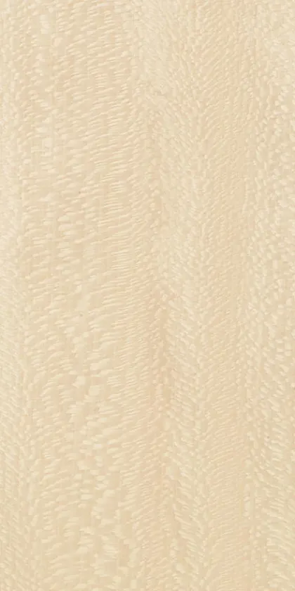 Plane Magliè dyed wood veneer code 33.N.011
