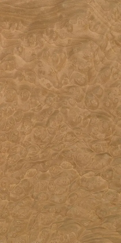 Madrona Burl dyed wood veneer code 46.002