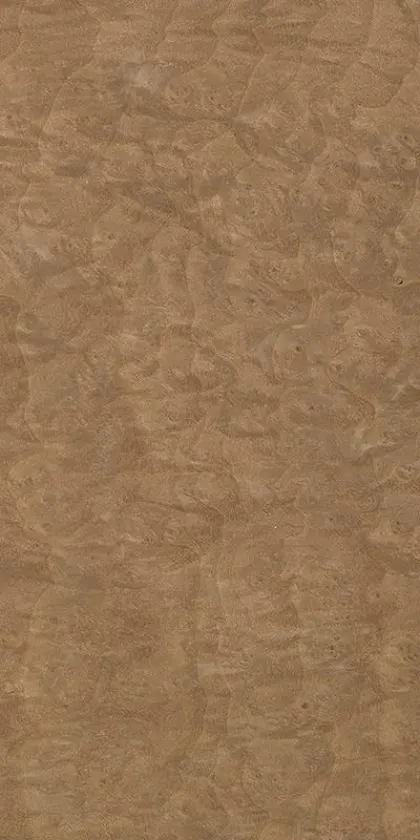 Madrona Burl dyed wood veneer code 46.006