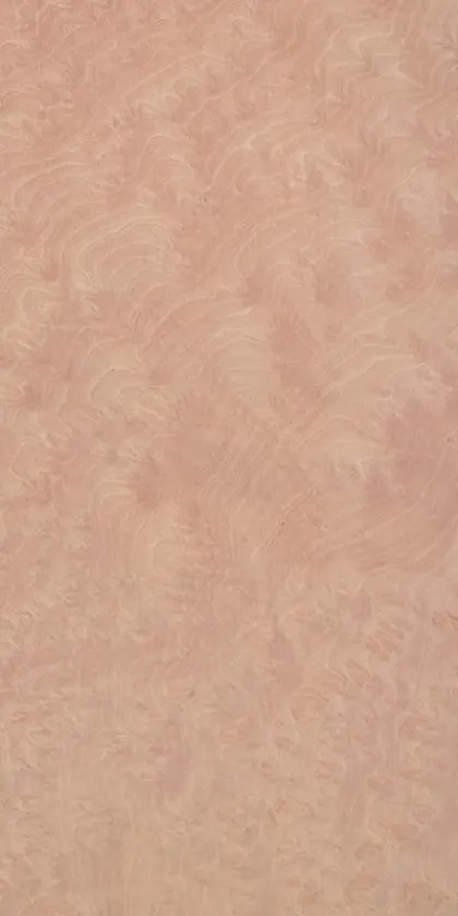 Madrona Burl dyed wood veneer code 46.008