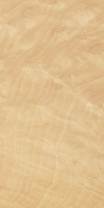 Madrona Burl dyed wood veneer code 46.013