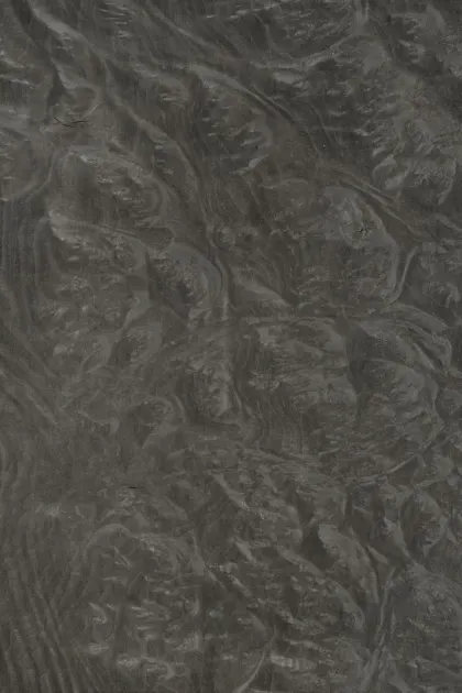Madrona burl dyed wood veneer code 46.014