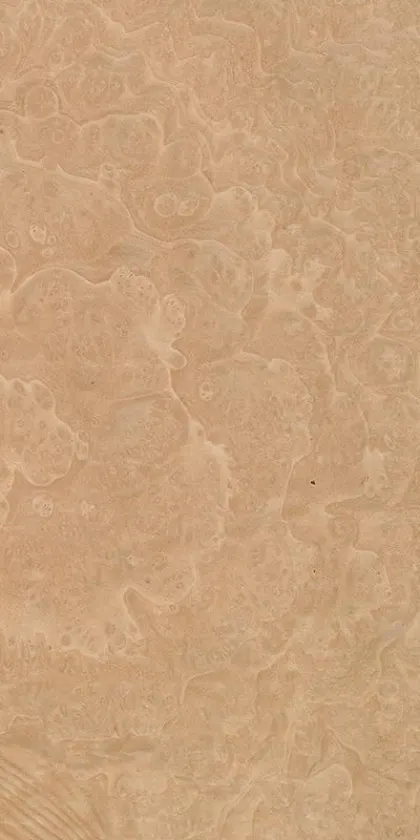 Madrona Burl dyed wood veneer code 46.031