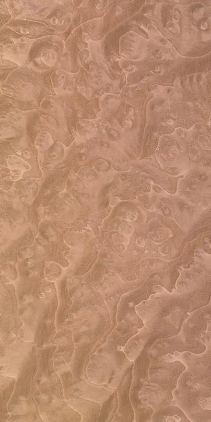Madrona Burl dyed wood veneer code 46.043