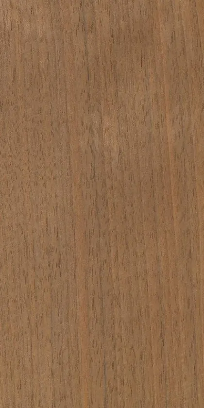 Canaletto Walnut dyed wood veneer code 51.026