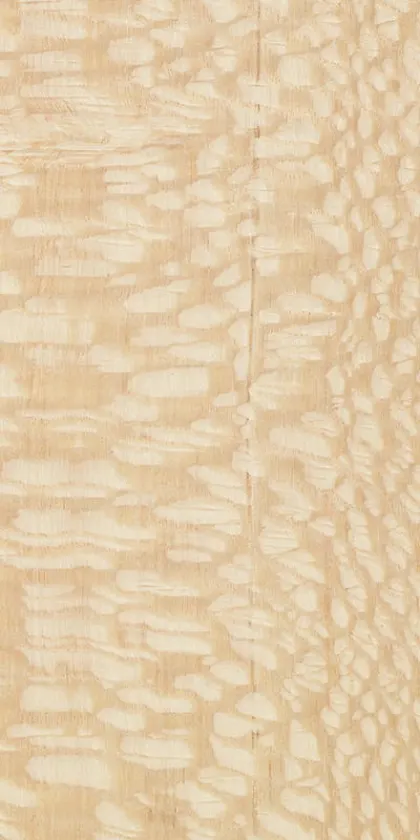 Carbalho dyed wood veneer code 81.051