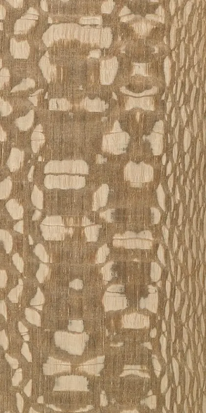 Carbalho dyed wood veneer code 81.058