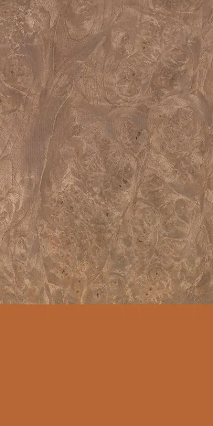 Persian Walnut Burl dyed wood veneer code 99.042
