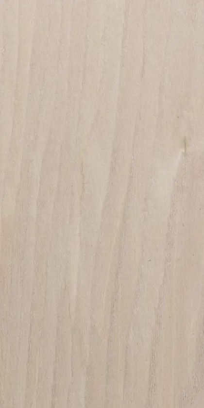 Kaleidol Lime Tree dyed wood veneer code AA.00.194